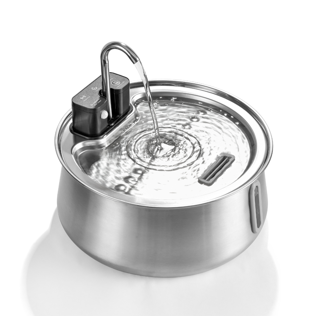 The KittySpout™ Wireless 2.0 - 2–month Kit