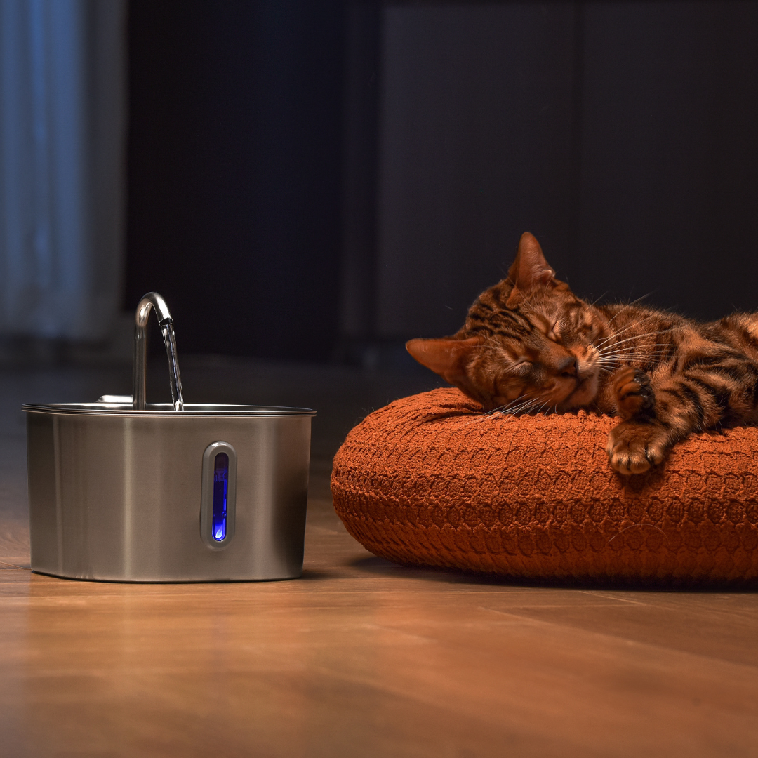 Like New The KittySpout - Health & Happiness Cat Kit (2.2L) - 2 Month: KittySpout + 4 filter sets + AC adapter