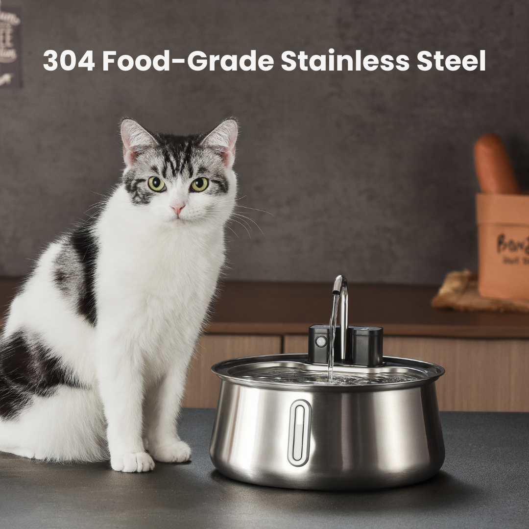 The KittySpout™ Wireless 2.0 - 2–month Kit
