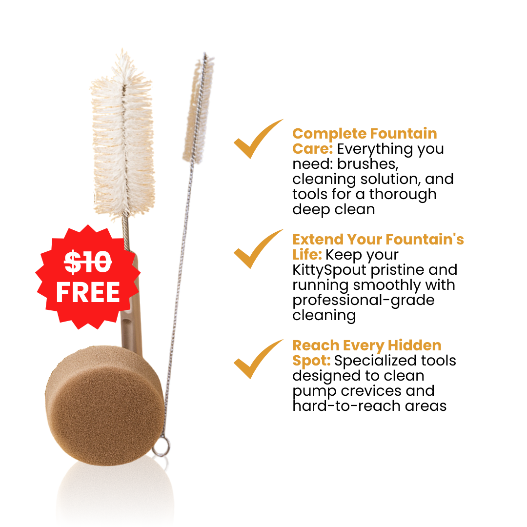 The KittySpout – 50% OFF EARLY FALL SALE + 4 FREE GIFTS (WORTH $142)