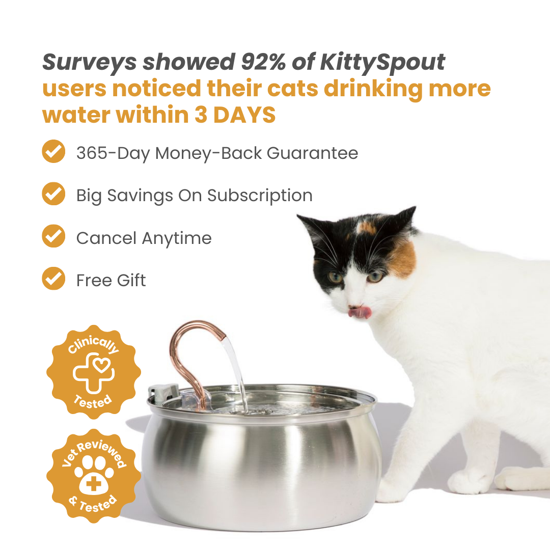 Der KittySpout™