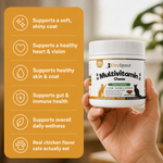 Masticables multivitamínicos KittySpout