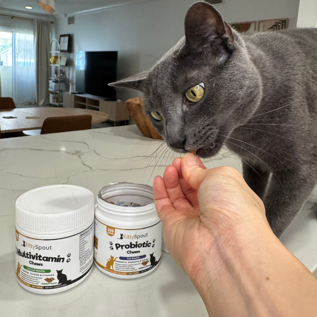 KittyTreats⁺ — Healthy Cat Treats