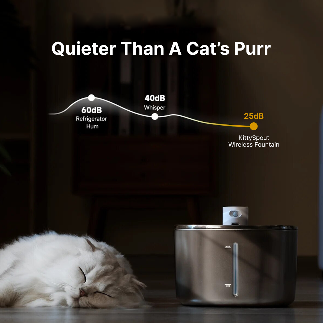 Like New The KittySpout - Wireless Fountain (Vet testimonials) - 1 Month: Wireless KittySpout + 2 filter sets