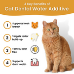 Aditivo para el agua del cuidado dental