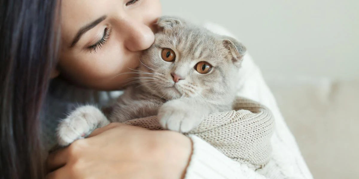 Kissing a kitty