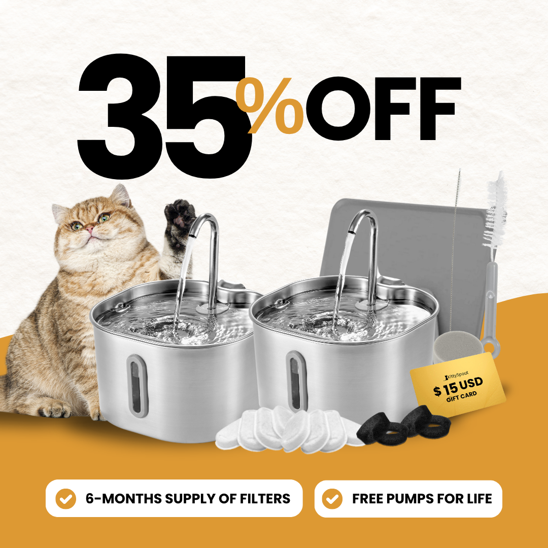2.2L Big Cat Family Bundle - evergreen