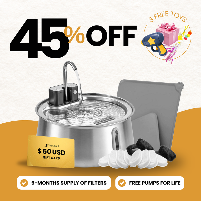 Wireless 2.0 KittySpout Value Bundle - evergreen