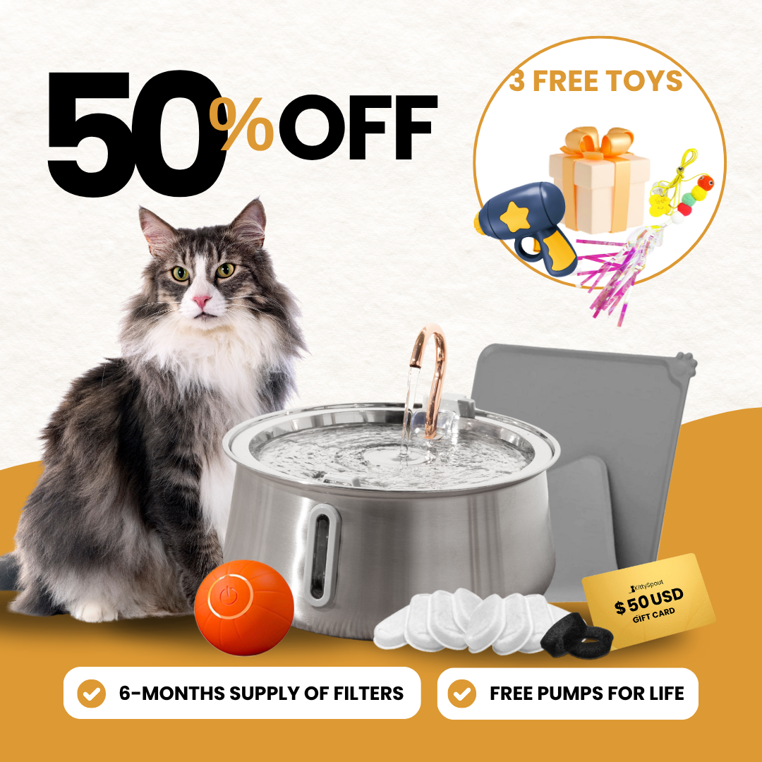Hydration & Playtime Value Bundle (4L) - evergreen