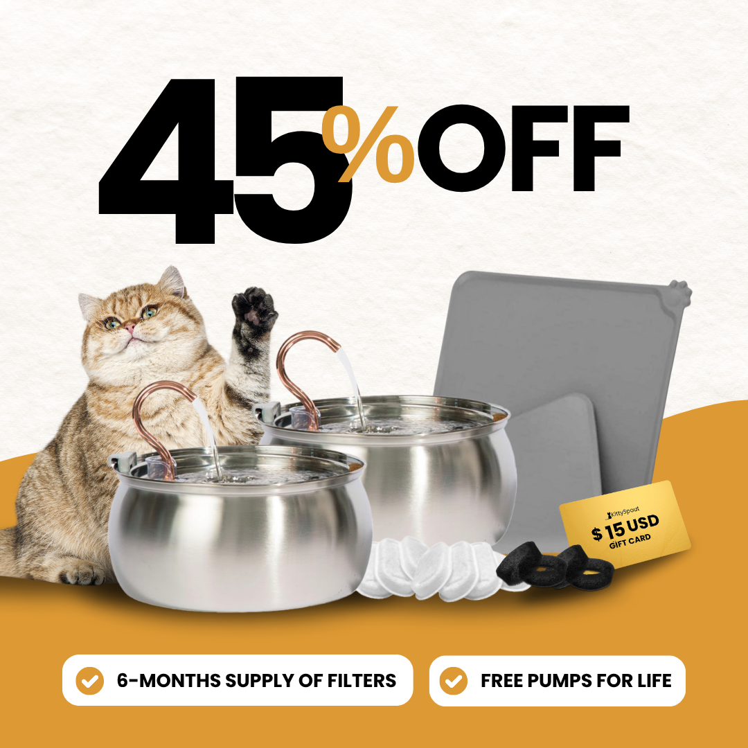 Big Cat Family Bundle - evergreen