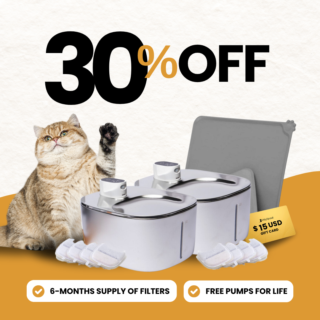 Wireless Big Cat Family Bundle - evergreen