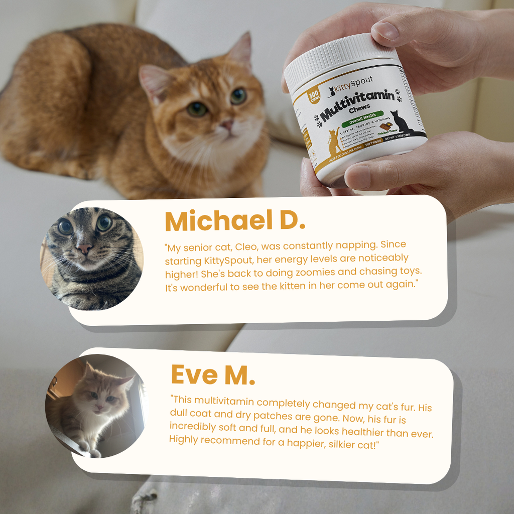 Golosinas multivitamínicas KittySpout - Suministro para 90 días