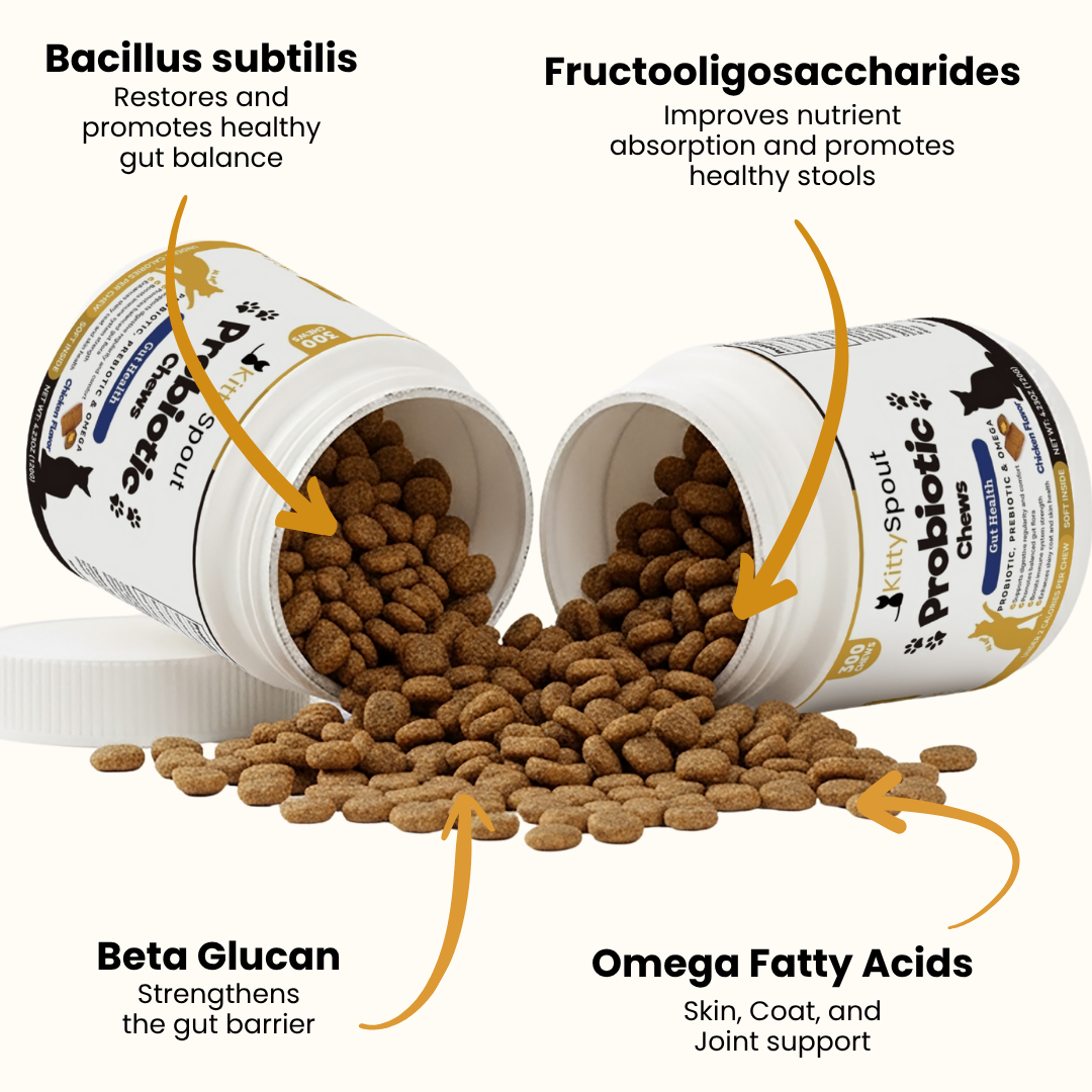 KittySpout Probiotic Chews