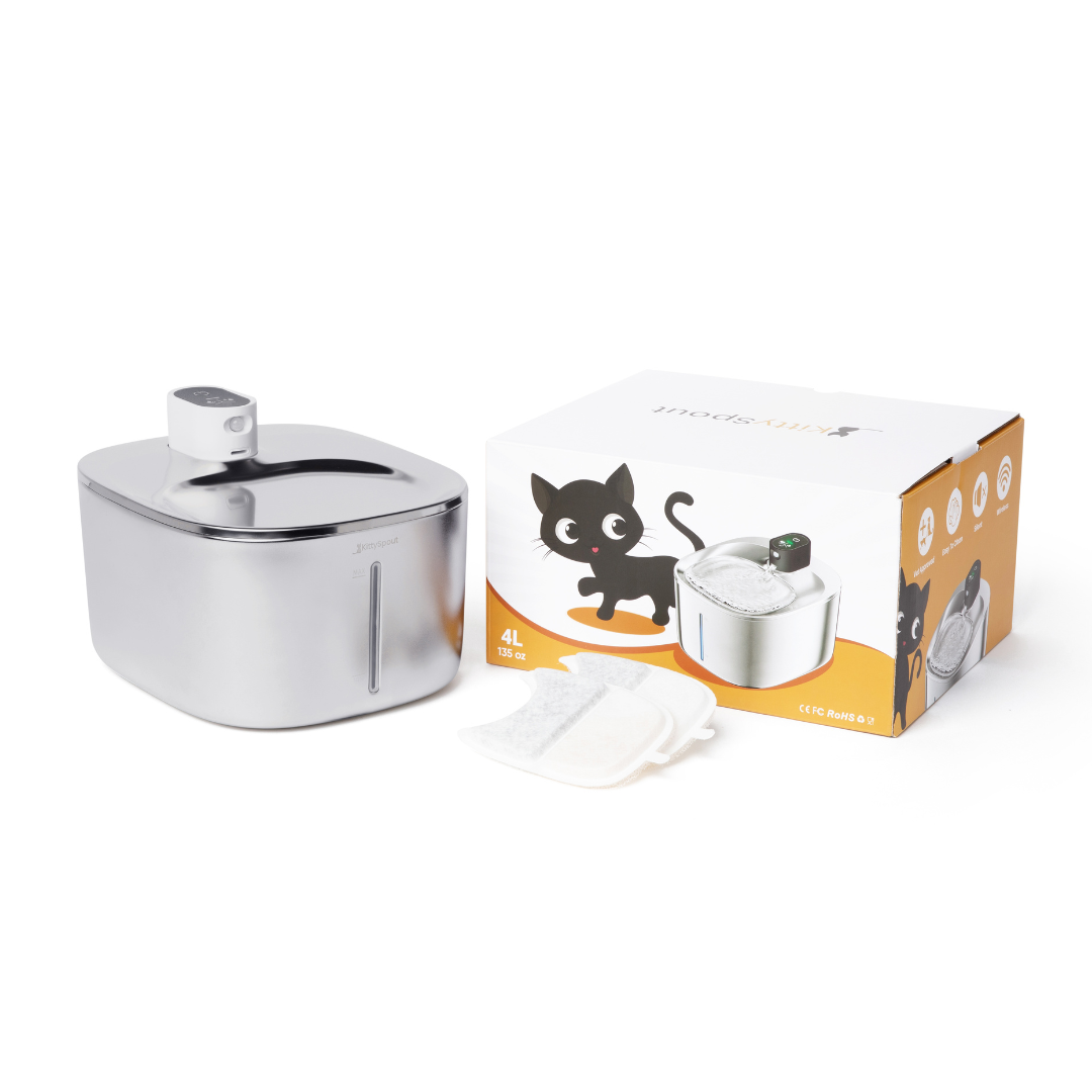 Stainless steel automatic pet water fountain with packaging and additional filters.