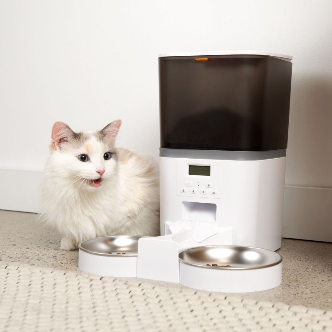 The KittyFeeder™ - Automatic Cat Feeder