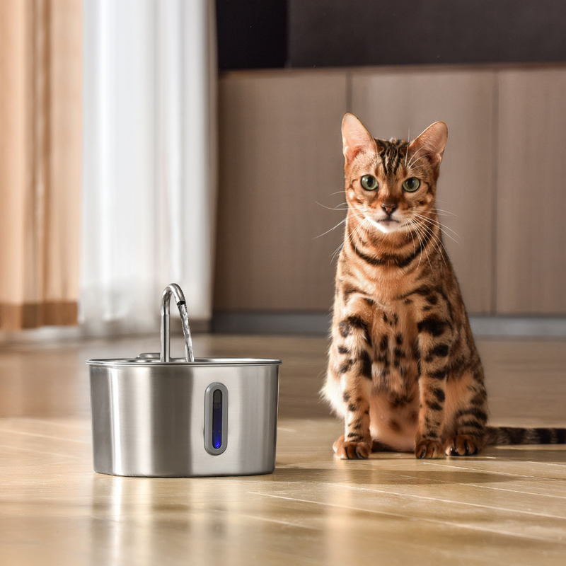 Der KittySpout™ – 2,2-Liter-Brunnen – 2-Monats-Kit