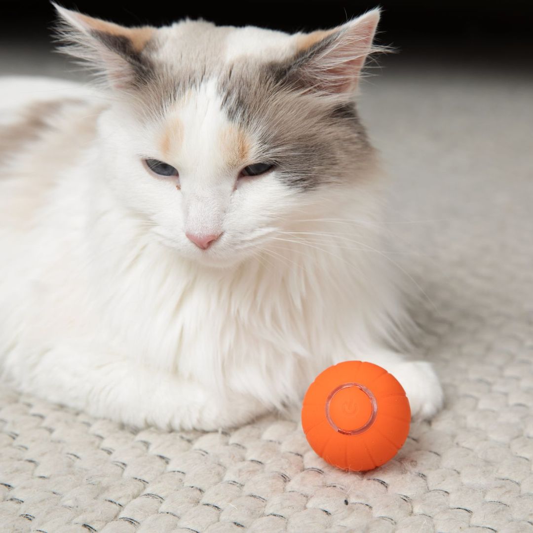 The KittyBall™ - Smart Cat Ball