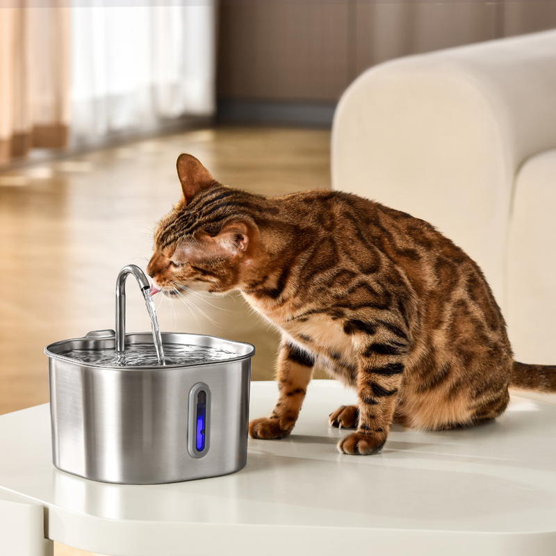 Der KittySpout™ – 2,2-Liter-Brunnen – 2-Monats-Kit