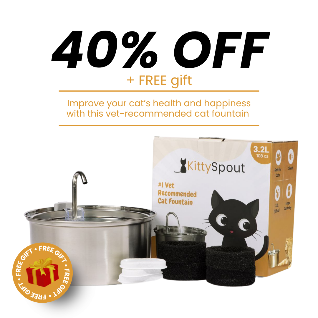 Kit de salud y felicidad para gatos The KittySpout™