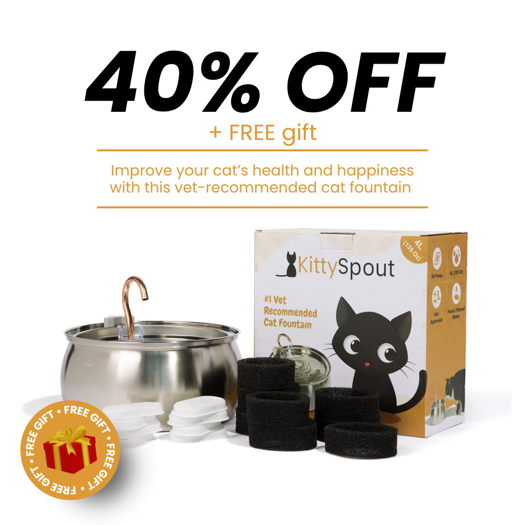 Kit de salud y felicidad para gatos The KittySpout™
