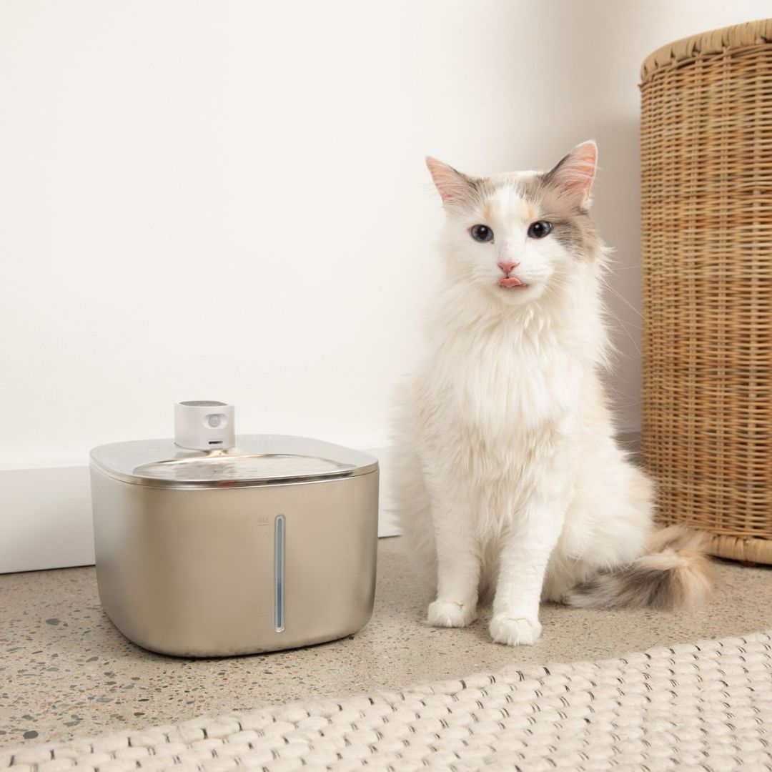 Like New The KittySpout - Wireless Fountain (Vet testimonials) - 1 Month: Wireless KittySpout + 2 filter sets