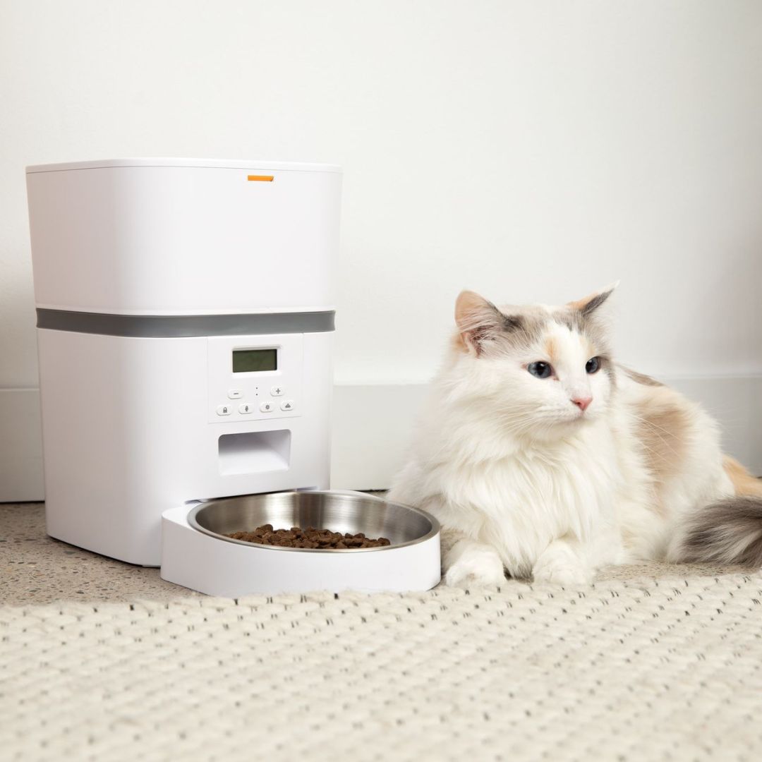 The KittyFeeder™ - Automatic Cat Feeder