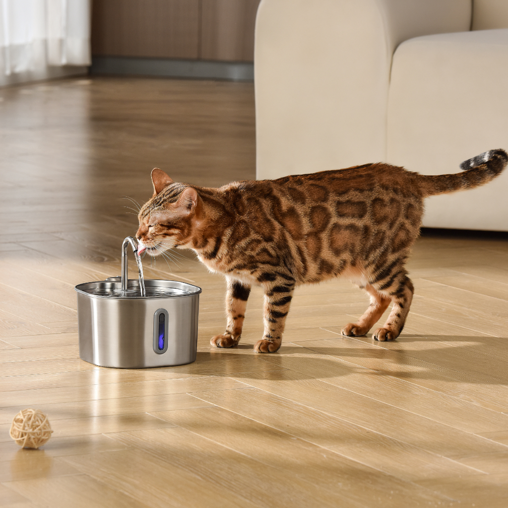 The KittySpout™ - 2.2L Fountain — <br>2–month Kit