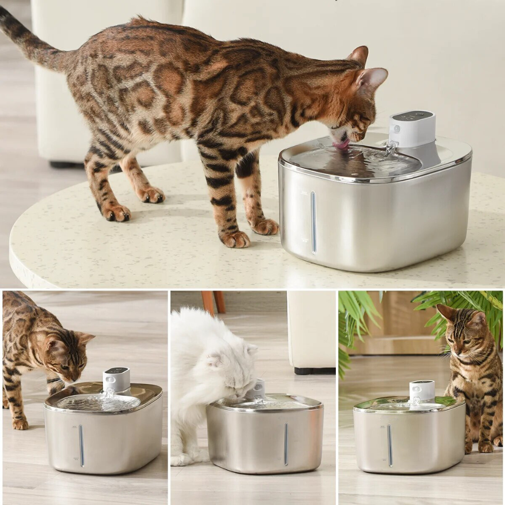 Like New The KittySpout - Wireless Fountain (Vet testimonials) - 1 Month: Wireless KittySpout + 2 filter sets