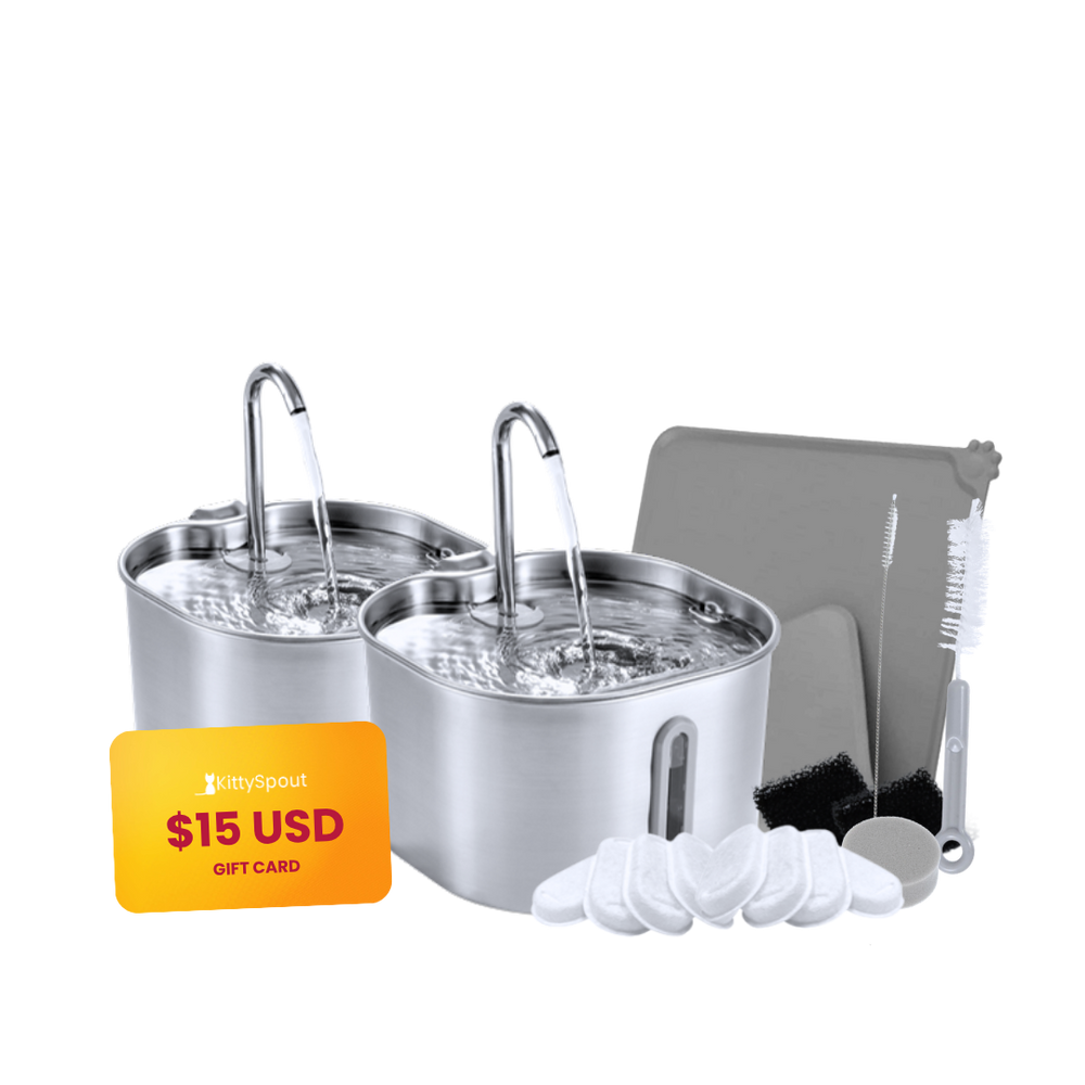 El KittySpout™ - Paquete Familiar Grande para Gatos de 2.2L
