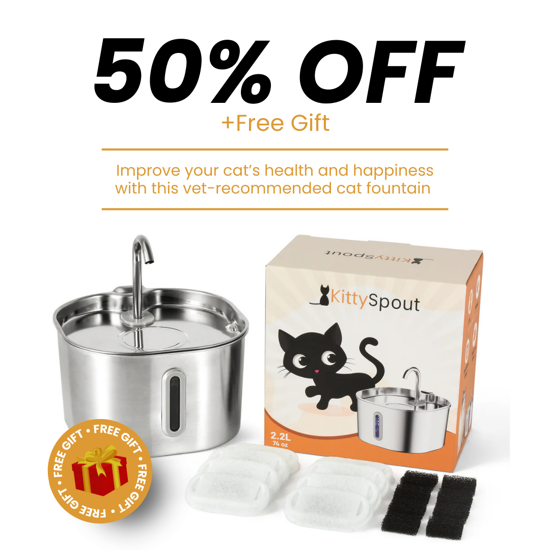 Kit de salud y felicidad para gatos The KittySpout™