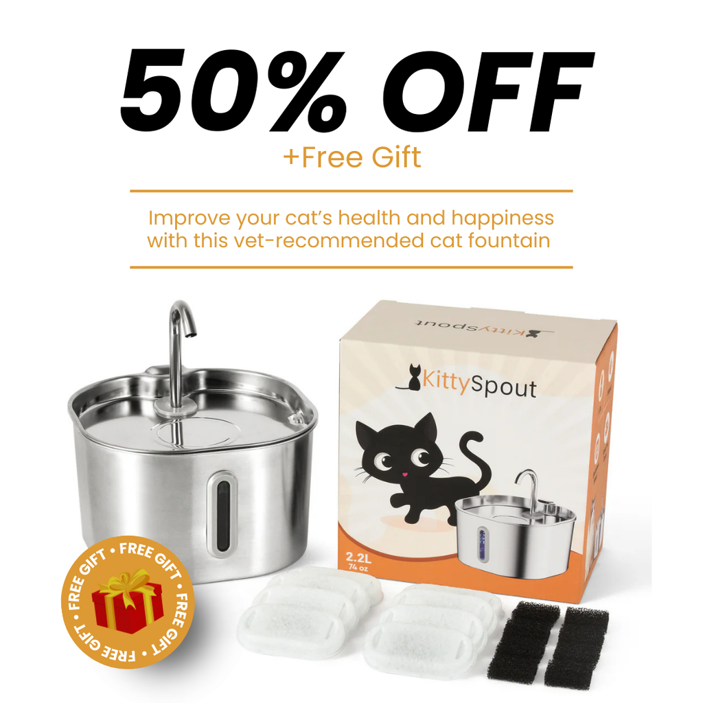 Kit de salud y felicidad para gatos The KittySpout™