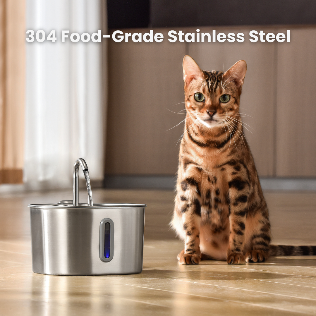 The KittySpout™ - 2.2L Fountain — <br>2–month Kit