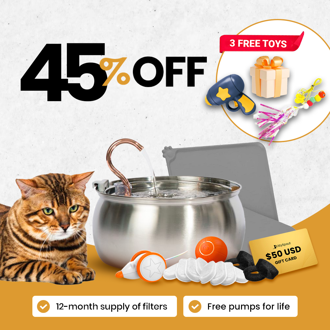 Save Big with Bundles