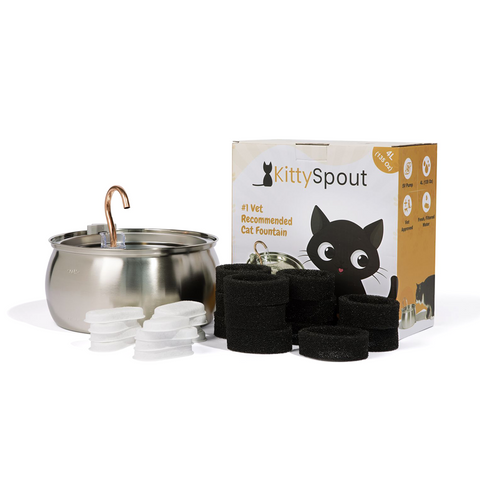 The KittySpout™ - Health & Happiness Cat Kit