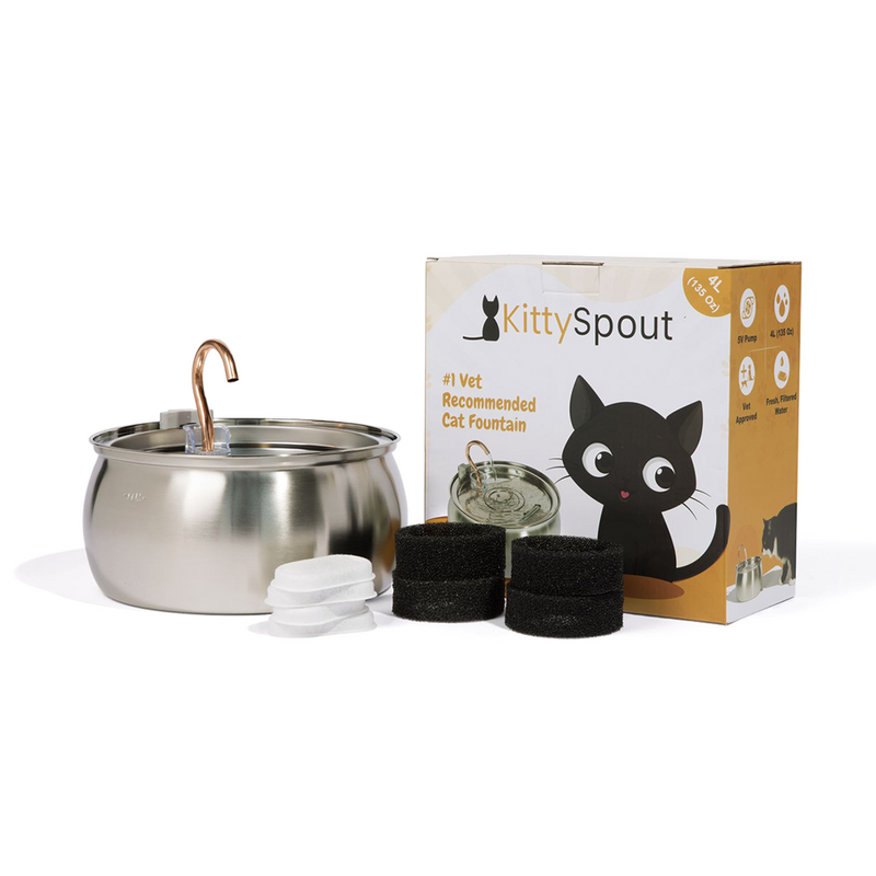 Der KittySpout™