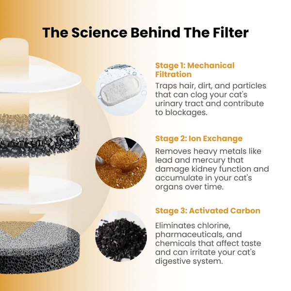 Stainless Steel [That Prevents Bacteria]