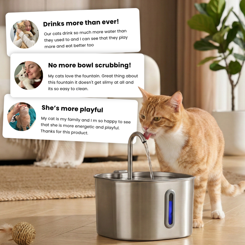 The KittySpout™ - 2.2L Fountain 2–month Kit