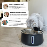 The KittySpout™ - Wireless Fountain 2.0 thumbnail