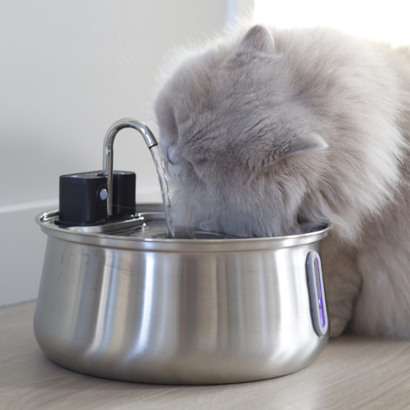 The KittySpout™ - Wireless Fountain 2.0