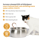 Der KittySpout™ thumbnail