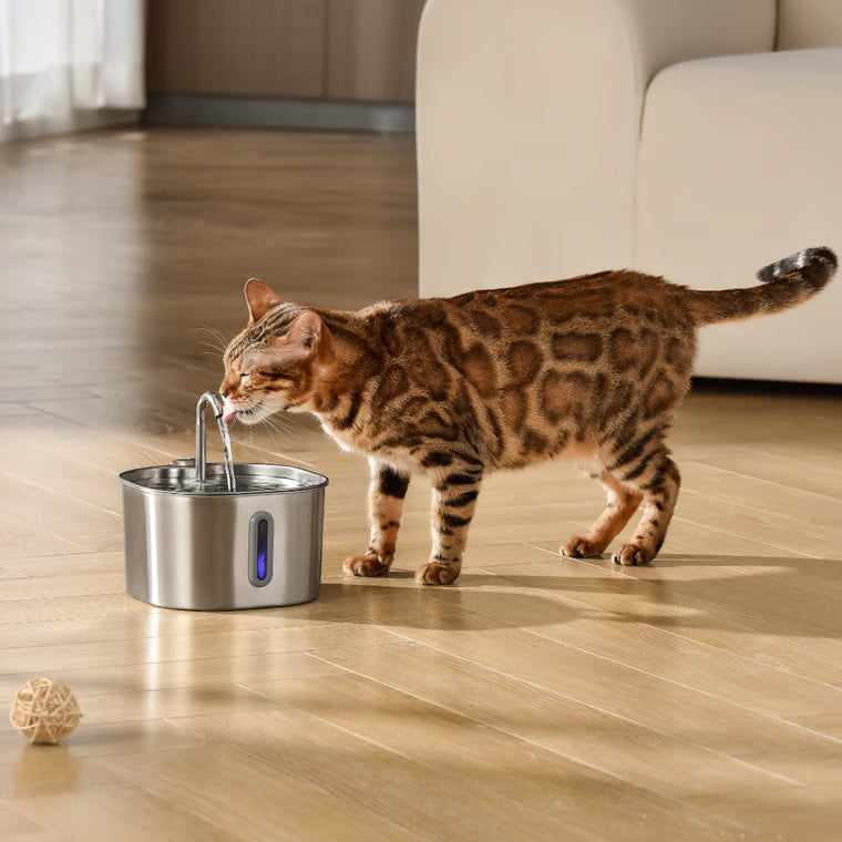 A cat drinking from a KittySpout fountain