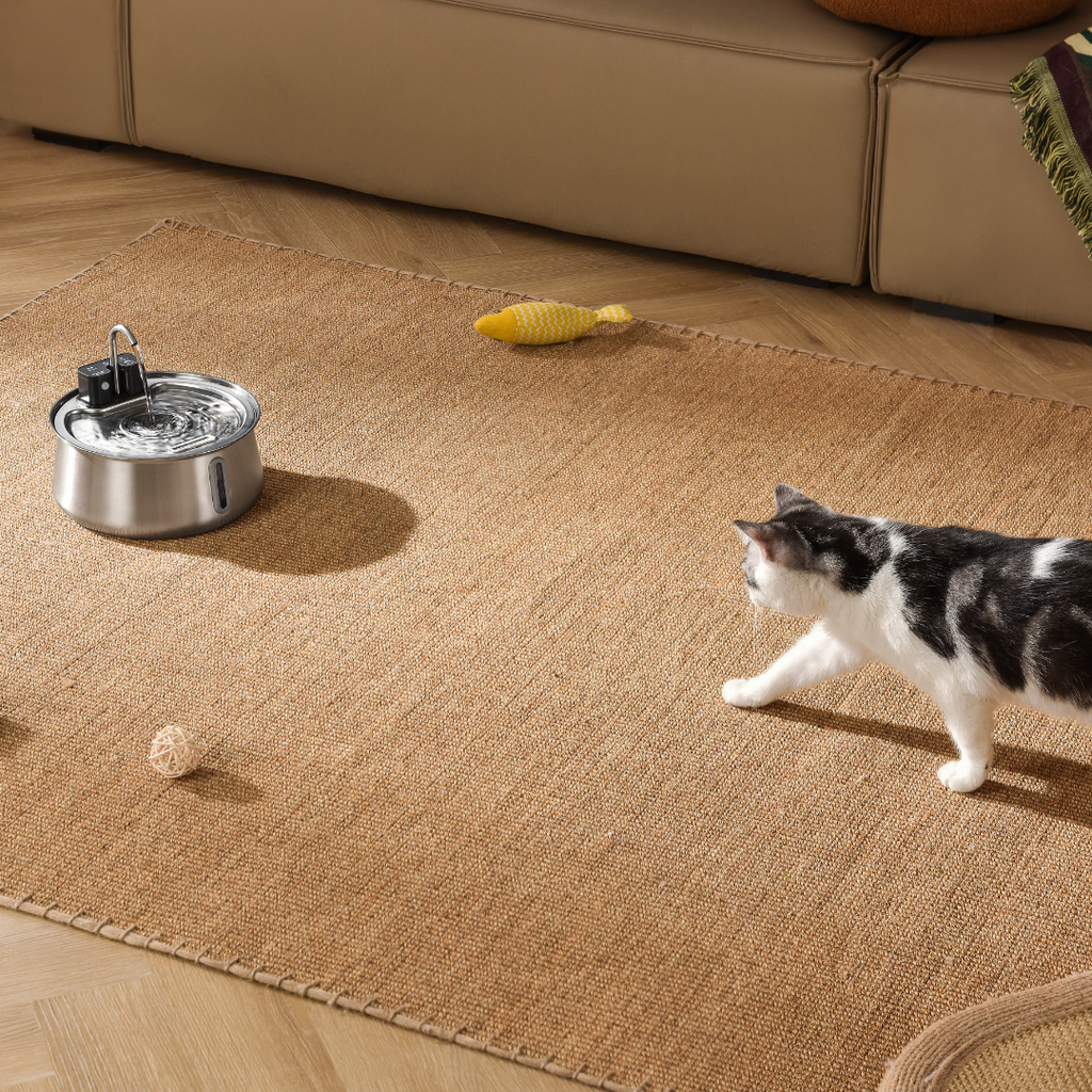 Refurbished The KittySpout - Wireless Fountain (Spout) - 6 Month: Wireless KittySpout + 8 filter sets + free gift