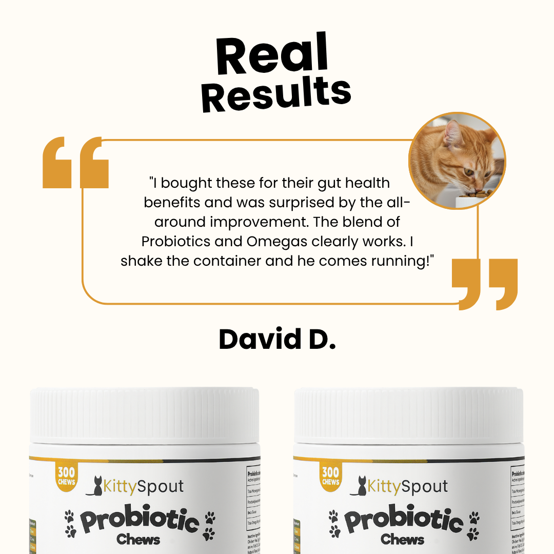 KittySpout Probiotic Chews