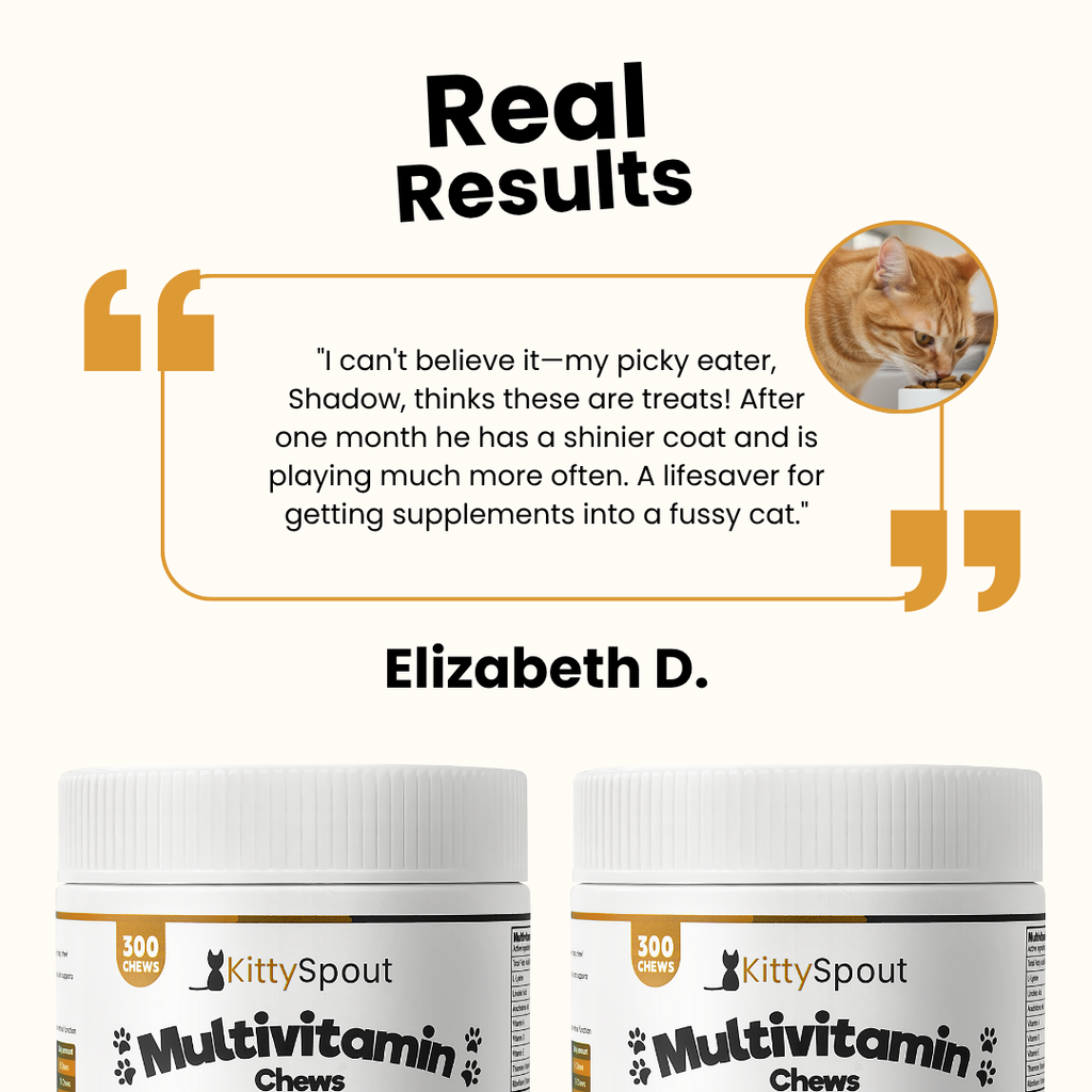 Golosinas multivitamínicas KittySpout - Suministro para 90 días