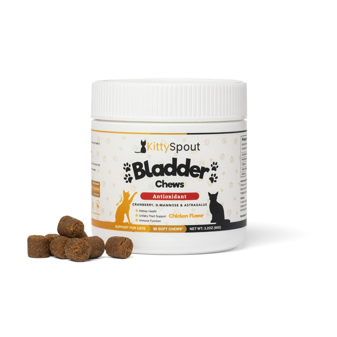 KittySpout Bladder Chews for cats, antioxidant formula with cranberry and chicken flavor.