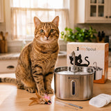 The KittySpout™ - 2.2L Fountain 2–month Kit thumbnail
