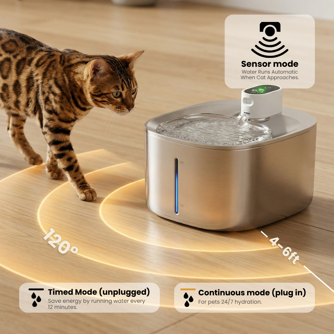 El kit Purrr-fect KittySpout
