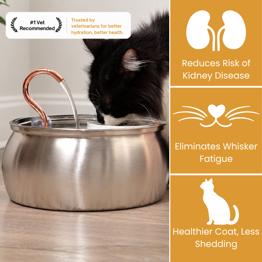 Kit de salud y felicidad para gatos The KittySpout™