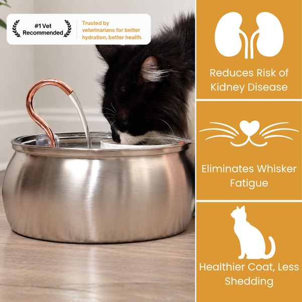 Der KittySpout™