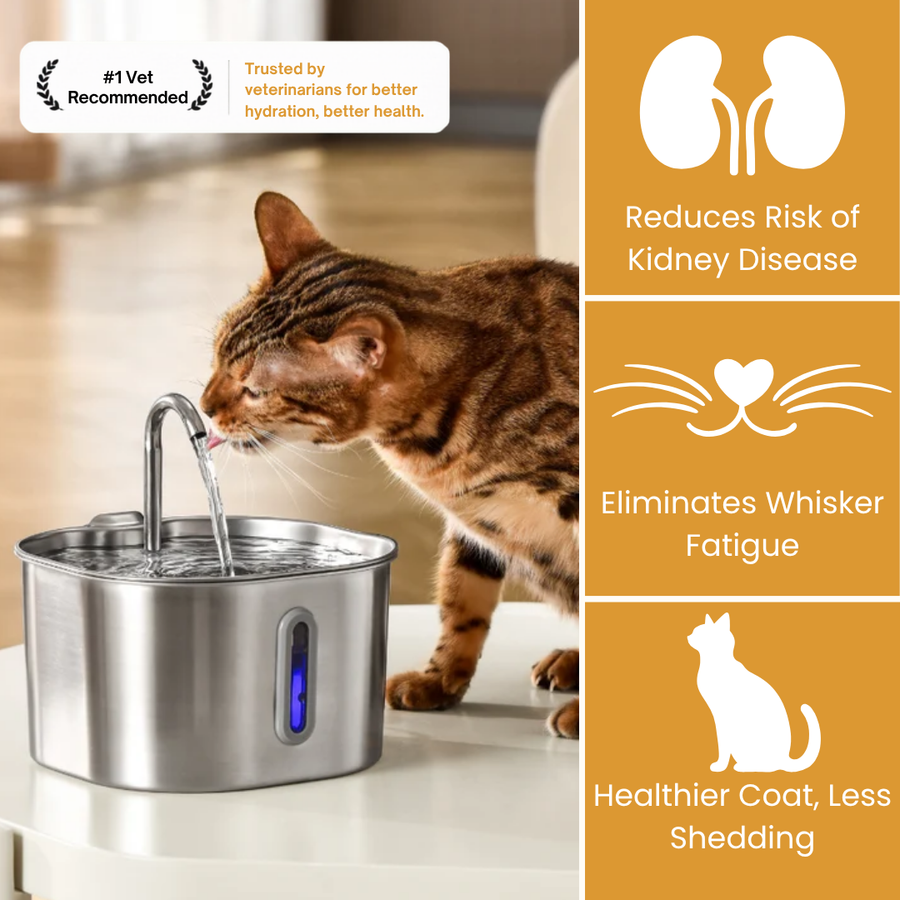 Der KittySpout™ – 2,2-Liter-Brunnen – 2-Monats-Kit